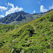 Sur l'ancien sentier conduisant à la Combe de la Rosette. 