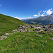 Vue arrière sur le bas de la Combe de la Rosette. 