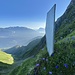 Künstler Natur. Aufgestellt habe ich diese perfekte Platte aber selber.