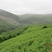 Vor mir die beiden Wasserfälle Afon Rhaeadr-fawr und Afon Rhaeadr-bach