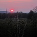 Grandioser Sunrise bei der Anfahrt nahe Waldbeuren
