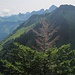 Nochmal der Blick nach Osten
