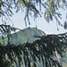 Schöner Durchblick zum Pfrondhorn
