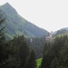Wahrlich ein stolzes Horn