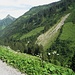 Gegenüber die sich verlaufende Wegspur, die ich und am Bach entlnag etwa bis auf Höhe des rechten Bildrands verfolgte