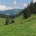 Da der Fahrweg zurück nach Damüls in der prallen Sonne liegt und ich noch ein bissle Schatten und Abenteuer suche...
