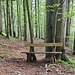 vierte Bank für Wanderer - im Braunen