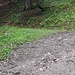 ein abgelegtes Gatter beim kurzen Kurvenabzweig