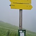 Wegweiser bei der Geitauer Alm, theoretisch Halbzeit