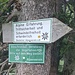 nochmal die beiden DAV-Schilder - grün und weiß, Wegegebot und alpiner Routenanspruch sowie Anforderungen
