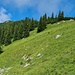 Ostgrat AIPLSPITZ