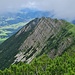 Flanke KLEINMIESING