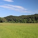 über Wiesen Richtung Wald