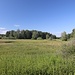 westwärts
