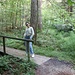 Waldweg
