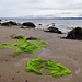 Strand von Rosemarkie