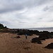 Strand von Rosemarkie (Ebbe)