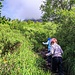 Durch den Urwald