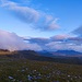 Zaghafte Sonnenstrahlen