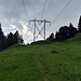 inizio del percorso