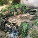 Abbondanza d'acqua alle Sorgenti pietrificanti.