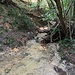 Torrente della Pissavacca.