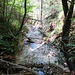 Il Torrente della Pissavacca a quota 640 metri nella valle fra il Costone dello Sgarbaz e quello delle Roccette.