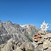 Das Gipfel-Edelweiss. Zu unserer Überraschung sind wir aber auch noch auf echte gestoßen.
