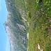 Blühende Wiese beim Aufstieg, Blick zur Nordrampe der Grimselpassstraße.