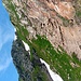 Mäßig steiler Hang unter der Husegghütte.