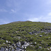 Gipfelhalde Pfannenstock