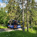 Standseilbahn Gubałówka - Wagen 2 fährt eingezäunt und hinter Bäumen vertseckt talwärts. Rechts neben dem Zaun ist der parallel zur Bahn verlaufende Wanderweg zu erahnen.
