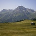 Omeshorn