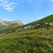Verso il Termenone