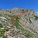 Il percorso
