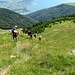 Discesa sulla cimetta sopra l'Alpe di Mezzo per raggiungere la Bocchetta di Chiaro