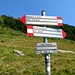 Alpe Pescedo