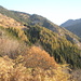 Colori d'autunno, dal sentiero che porta all'Alpe Sassello