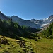 Alpja