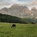 un' ultimo sguardo alla nostra cima