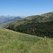 Im Sommer ist das Skigebiet Céüse 2000 ein Eldorado für Blumenfreunde.