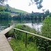 Besuch vom Wilersee.
