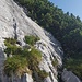 Letzter Aufstieg am Rand dieser Platte, bevor man nach einem weiteren Latschendurchschlupf schließlich den Einstiegssteinmann des Westgrates erreicht.