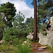 Faxe am bouldern inmitten einer wilden Natur.