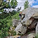 Der Autor an einem wunderschönen Sandsteinblock unterwegs.