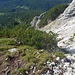 Tiefblick von Süden auf die Klemmblockstelle. Nach dem Schrofenanstieg zu der Nische kommt man dann oberhalb der Latschen heraus.