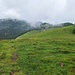 Alpe Pisciarotondo