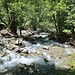 viel Wasser im Valle Morobbia