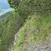 Mögliche Stelle mit Absturzgefahr im Aufstieg Pfad/Steig zum Katzenkopf im Rückblick