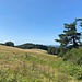 In der Nähe der Prechtaler Schanze.<br /><br />